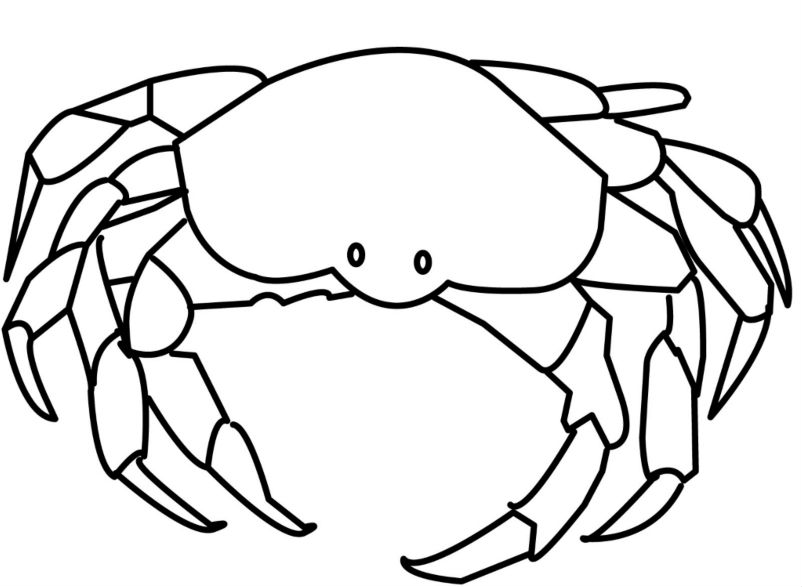 crab