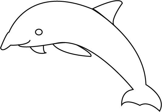 dolphin