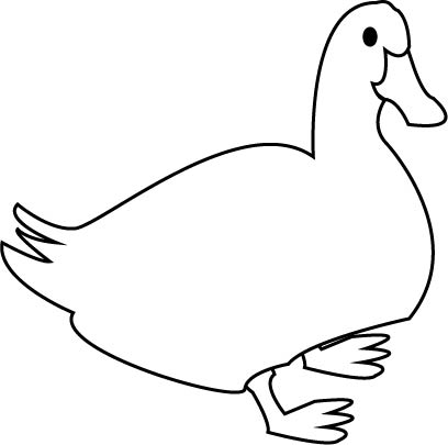 duck