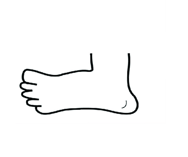 foot