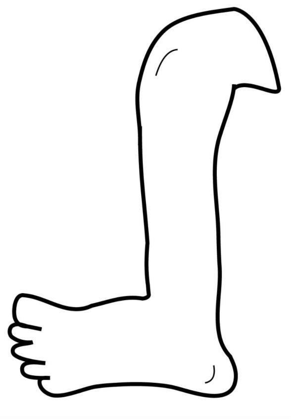 leg