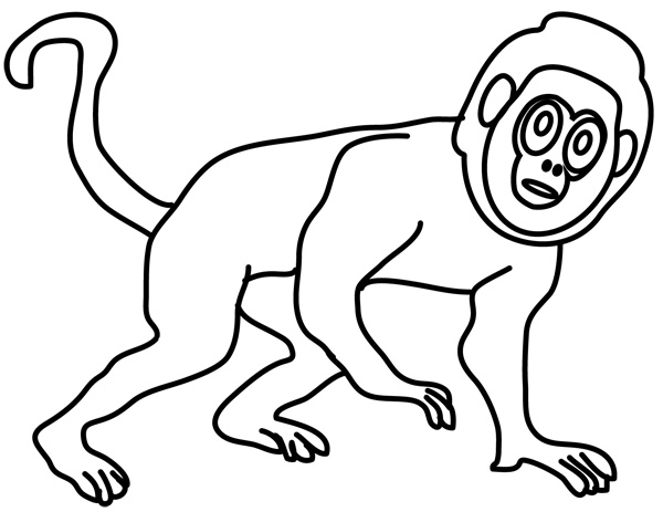 monkey