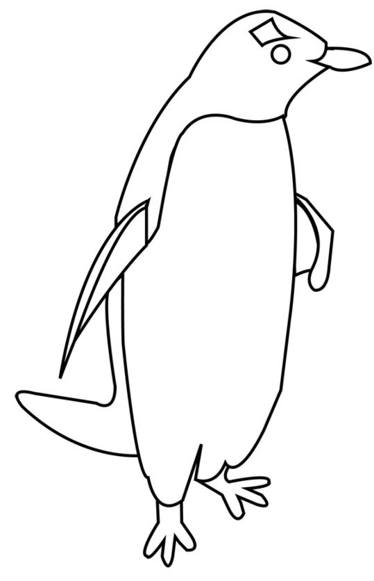 penguin