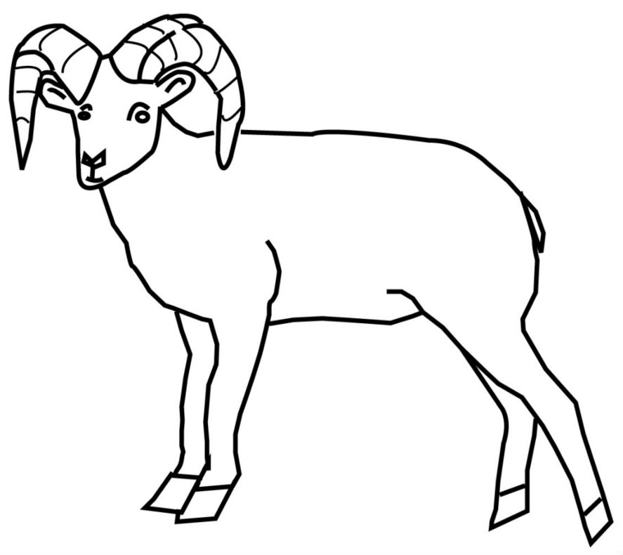 ram