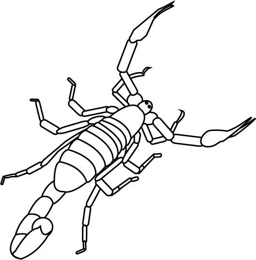 scorpion