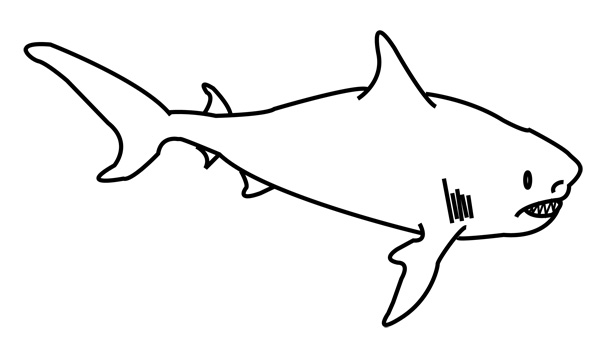 shark